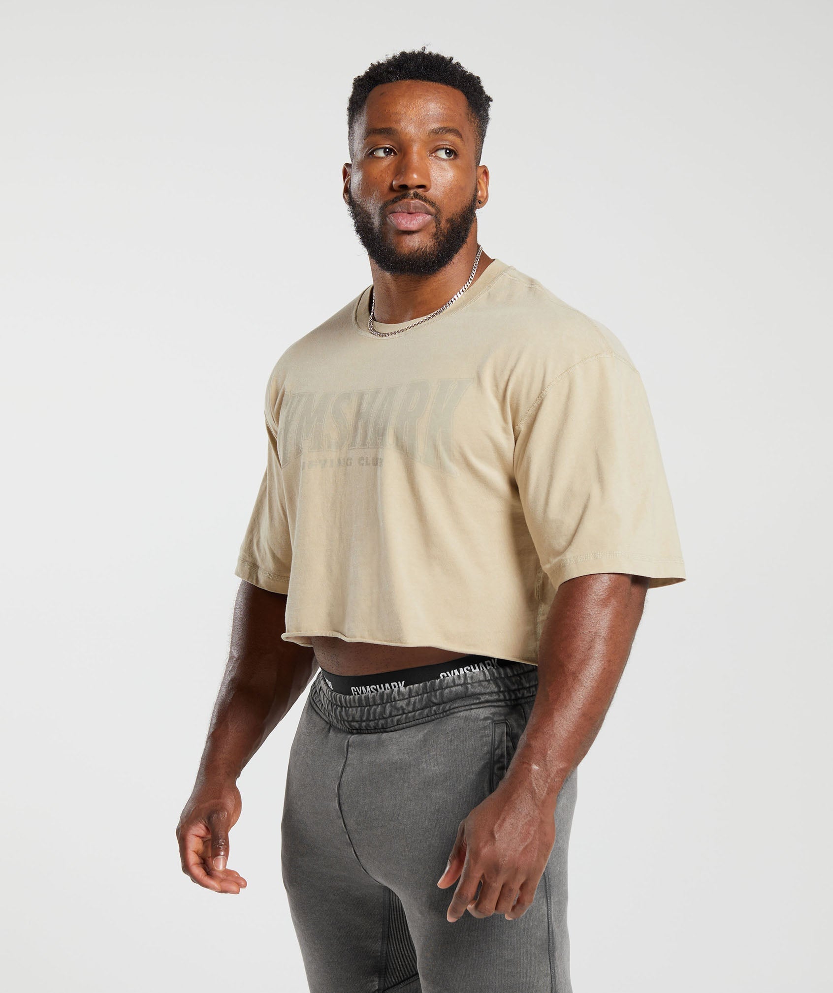 Heritage Washed Crop T-Shirt in Desert Beige - view 3