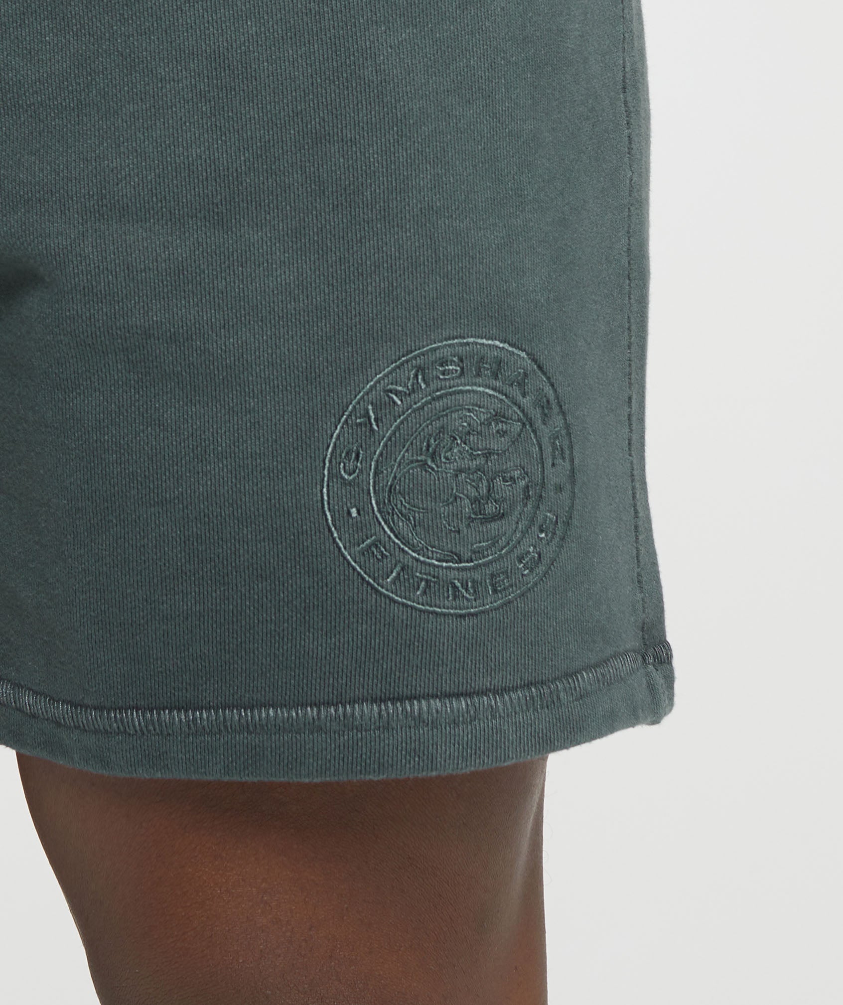 Premium Legacy Shorts in Cargo Teal - view 5