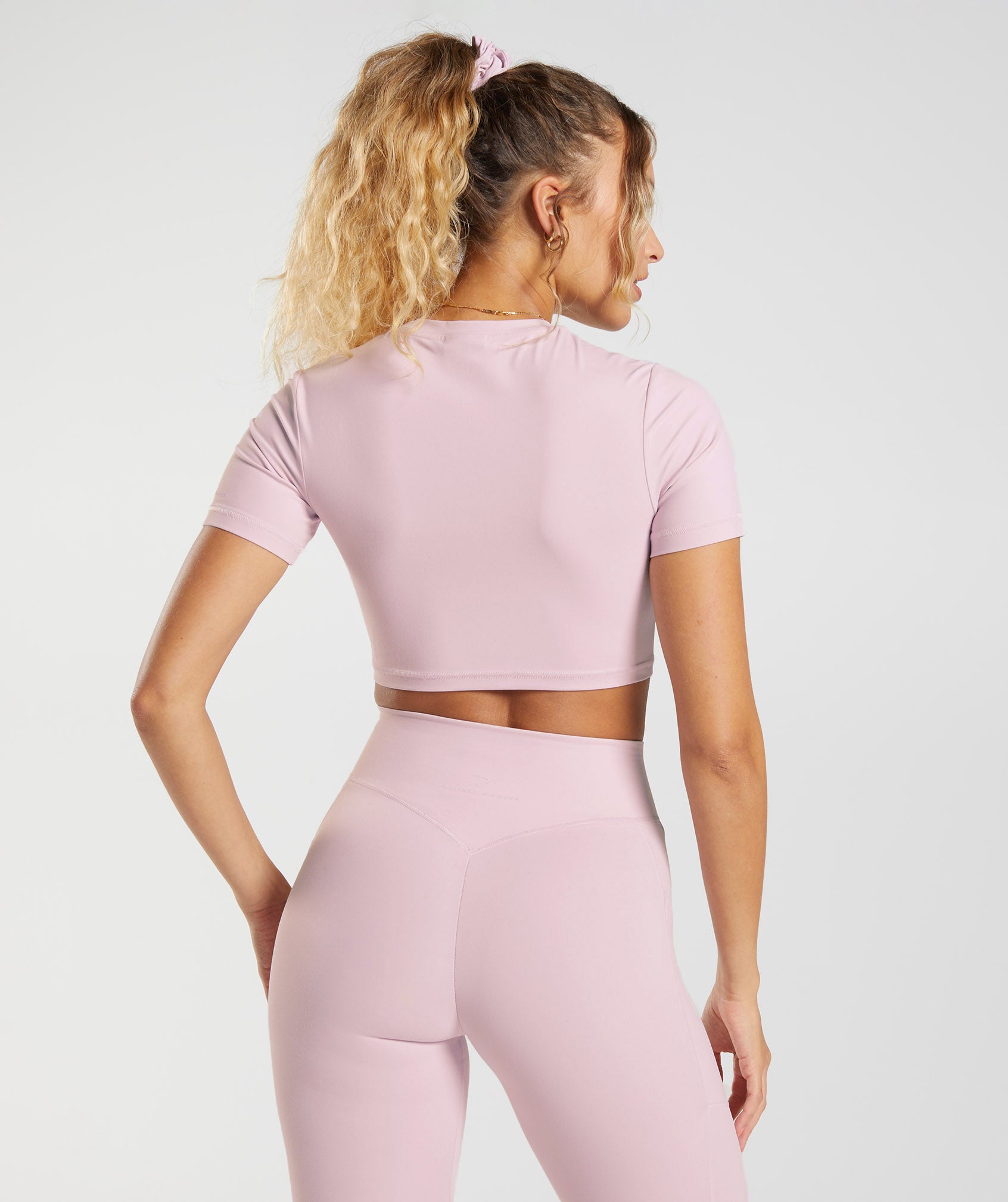 Whitney Short Sleeve Crop Top in Pressed Petal Pink - view 2