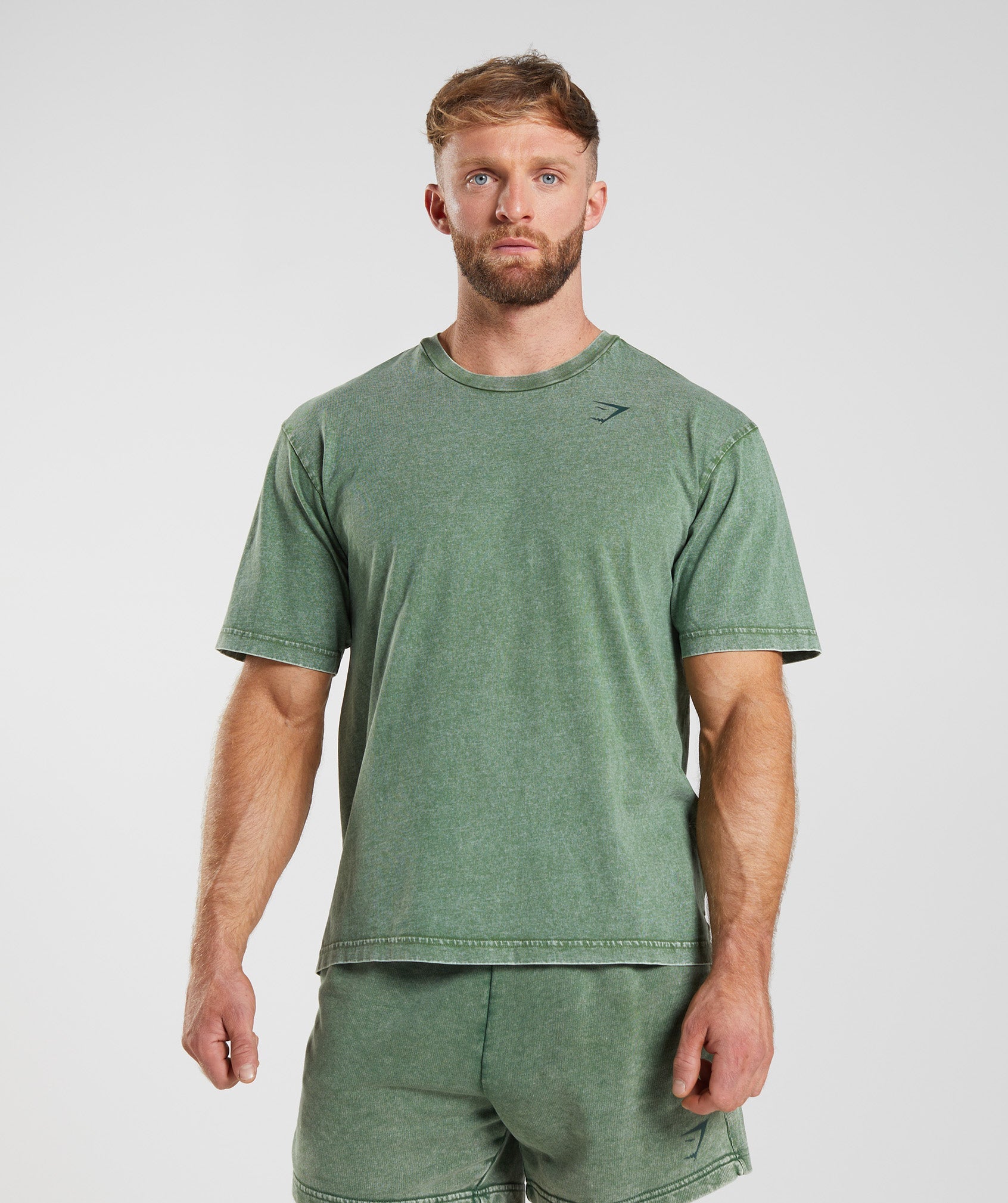 Power Washed T-Shirt in Iguana Green