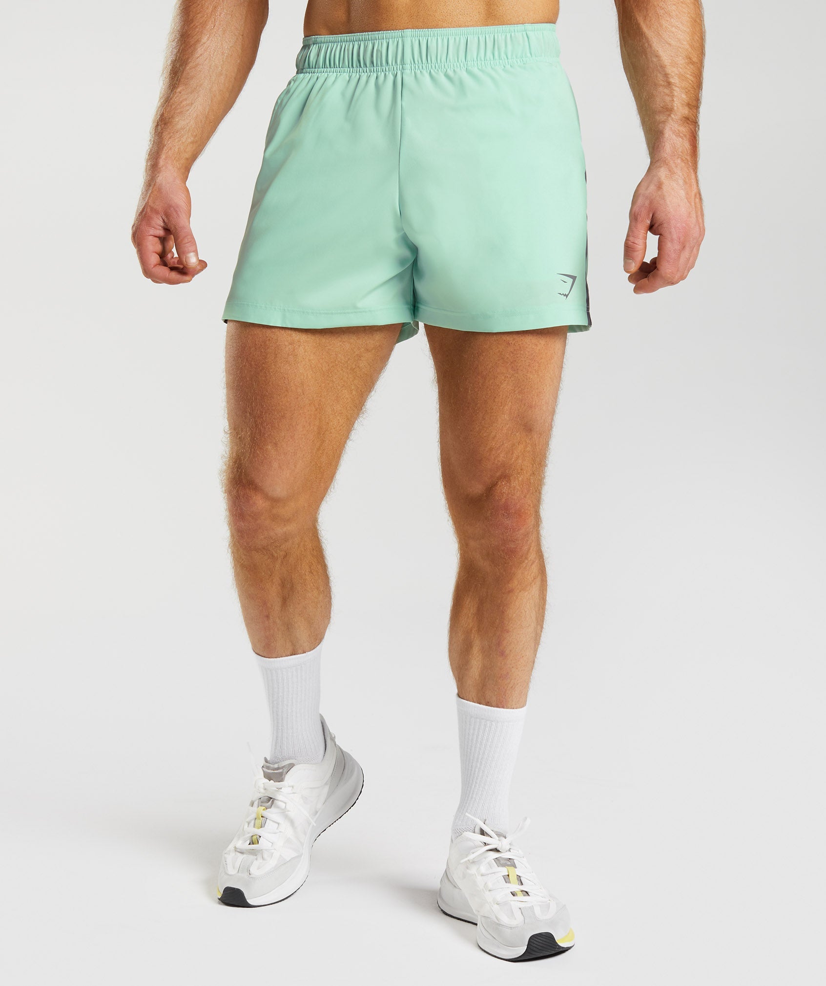 Sport 5" Shorts in Pastel Green/Silhouette Grey