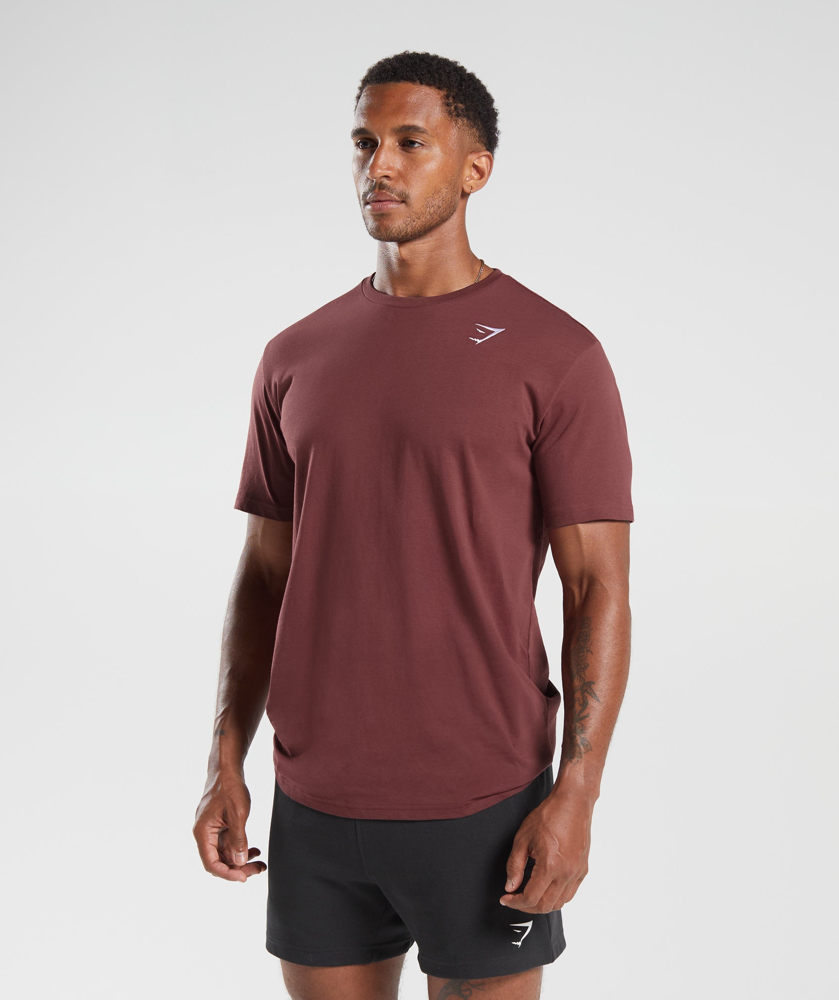 Crest T-Shirt in Washed Burgundy - view 3