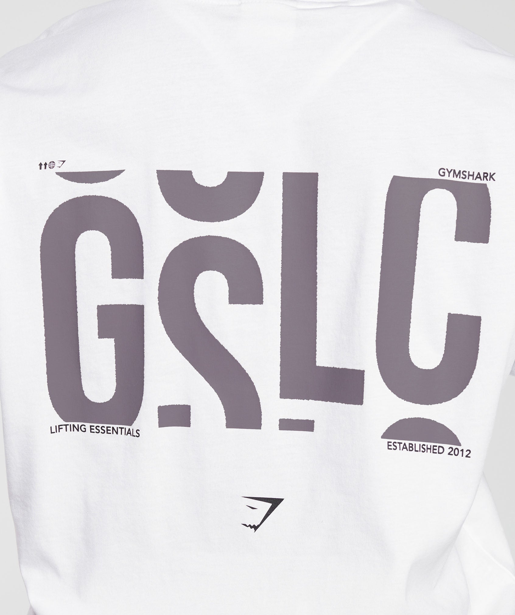 GSLC Oversized Tee in White - view 5