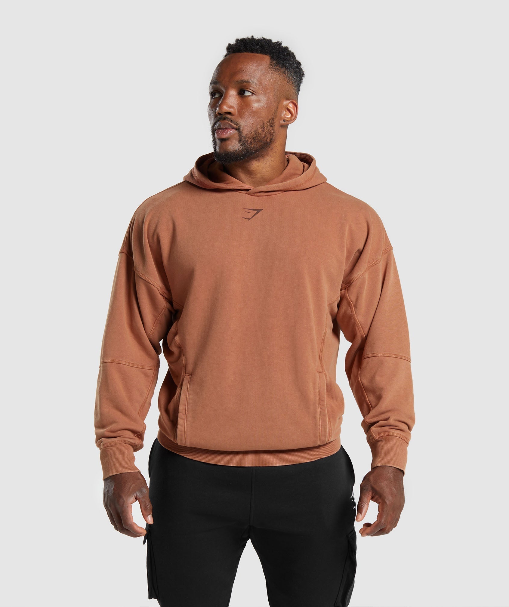Heritage Washed Hoodie in Canyon Brown - view 2