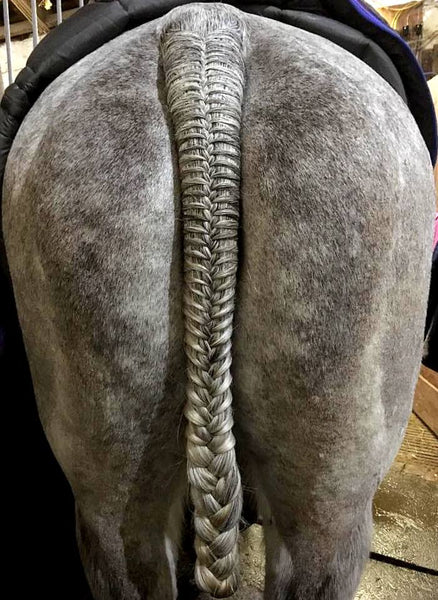 How to plaiting a tail for hunting – The Old Hunting Habit
