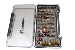 Example fly box with organized flies