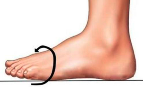 measure the widest part of your foot