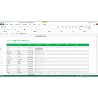 microsoft office 2013 home and business instant download