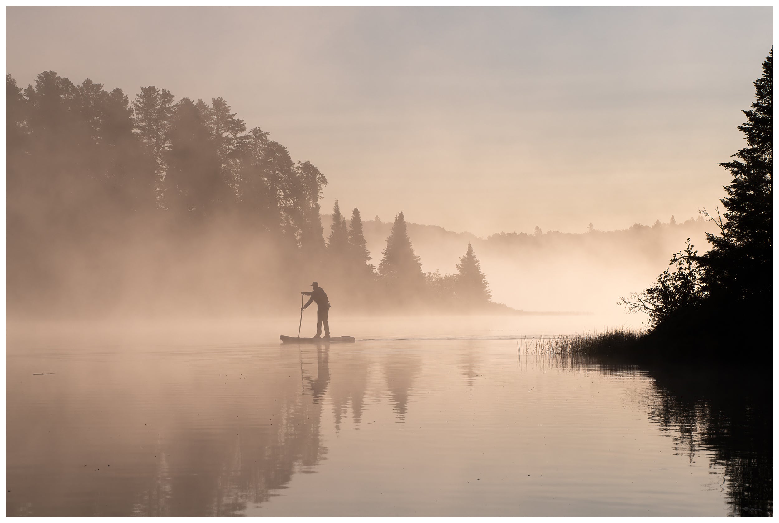 Through the Fog