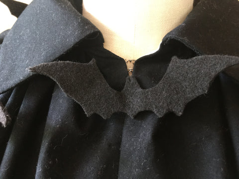 Photo of bat at cape neck
