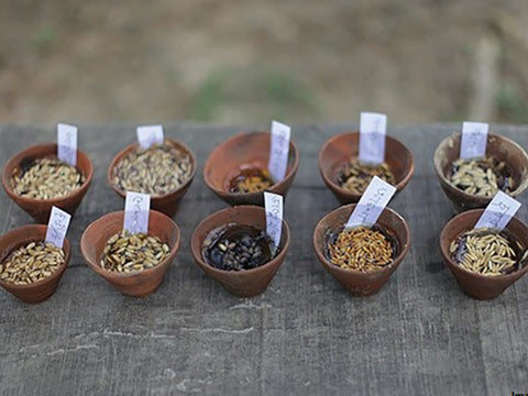 Native rice bowls