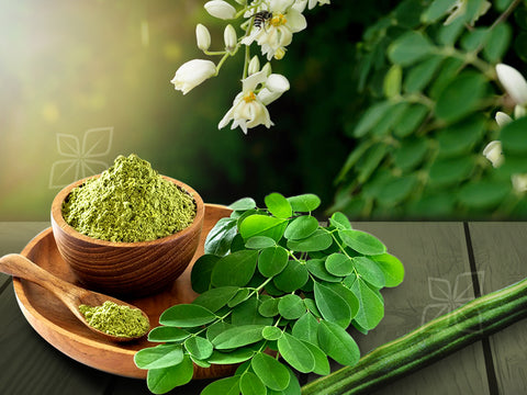 Moringa - NatureMills