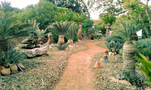 Babylonstoren, Western Cape