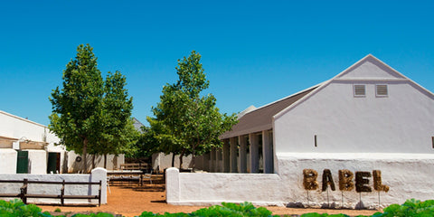 Babel Restaurant - Babylonstoren - Western Cape