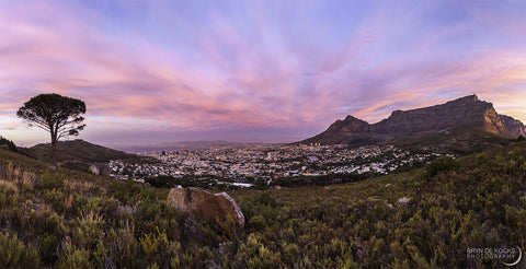 Cape Town Photography
