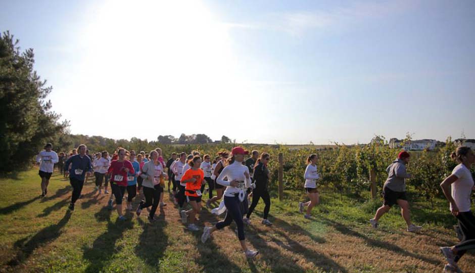 Durbanville Hills Trail Run 