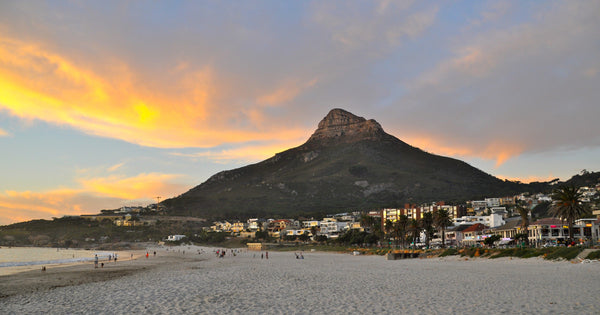 Mountain Climbing Lions Head Cape Town