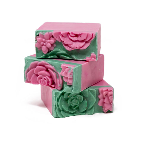 succulent soap organic 