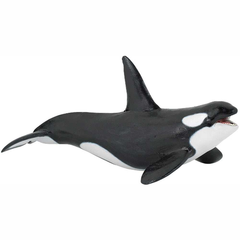 killer whale figurine