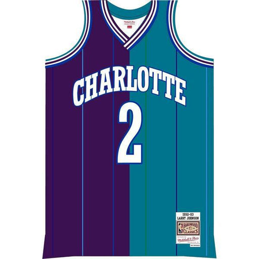 Men's Mitchell & Ness Larry Johnson Teal/Purple Charlotte Hornets Hardwood Classics 1992-93 Split Swingman Jersey Size: Medium