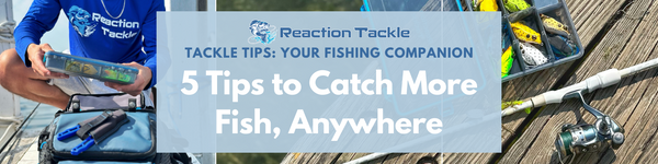 5 Tips to Catch More Fish, Anywhere