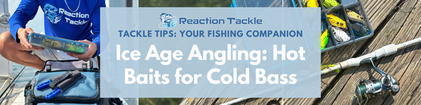 Ice Age Angling: Hot Baits for Cold Bass