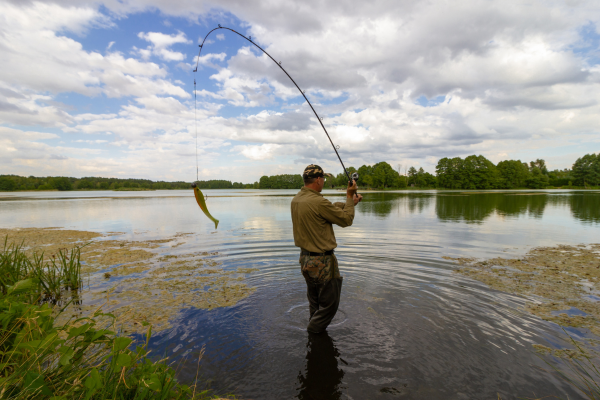 informed angler who knows their environment, casting out.