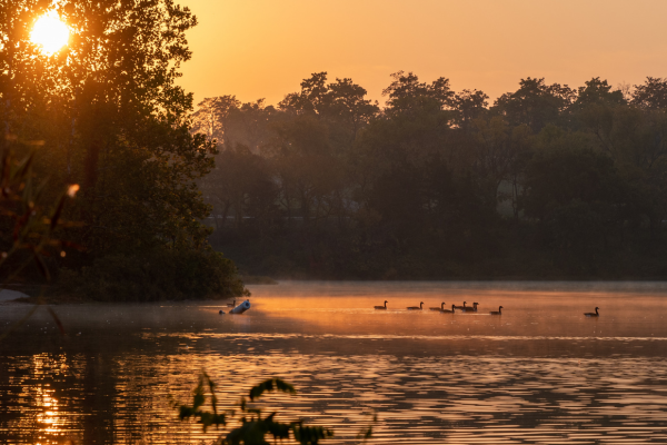 serene sunrise over a calm lake