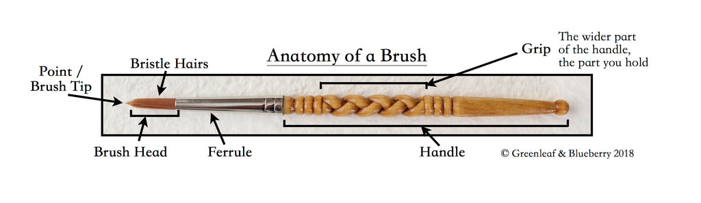 Anatomy of a Brush Watercolor Paintbrush Greenleaf and Blueberry Hand Carved Paintbrush Handle Jess Greenleaf Carving