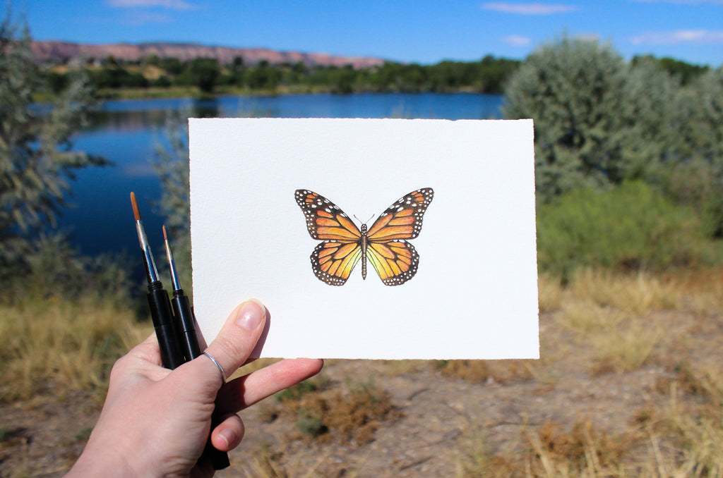 Monarch Butterfly by Jess Greenleaf