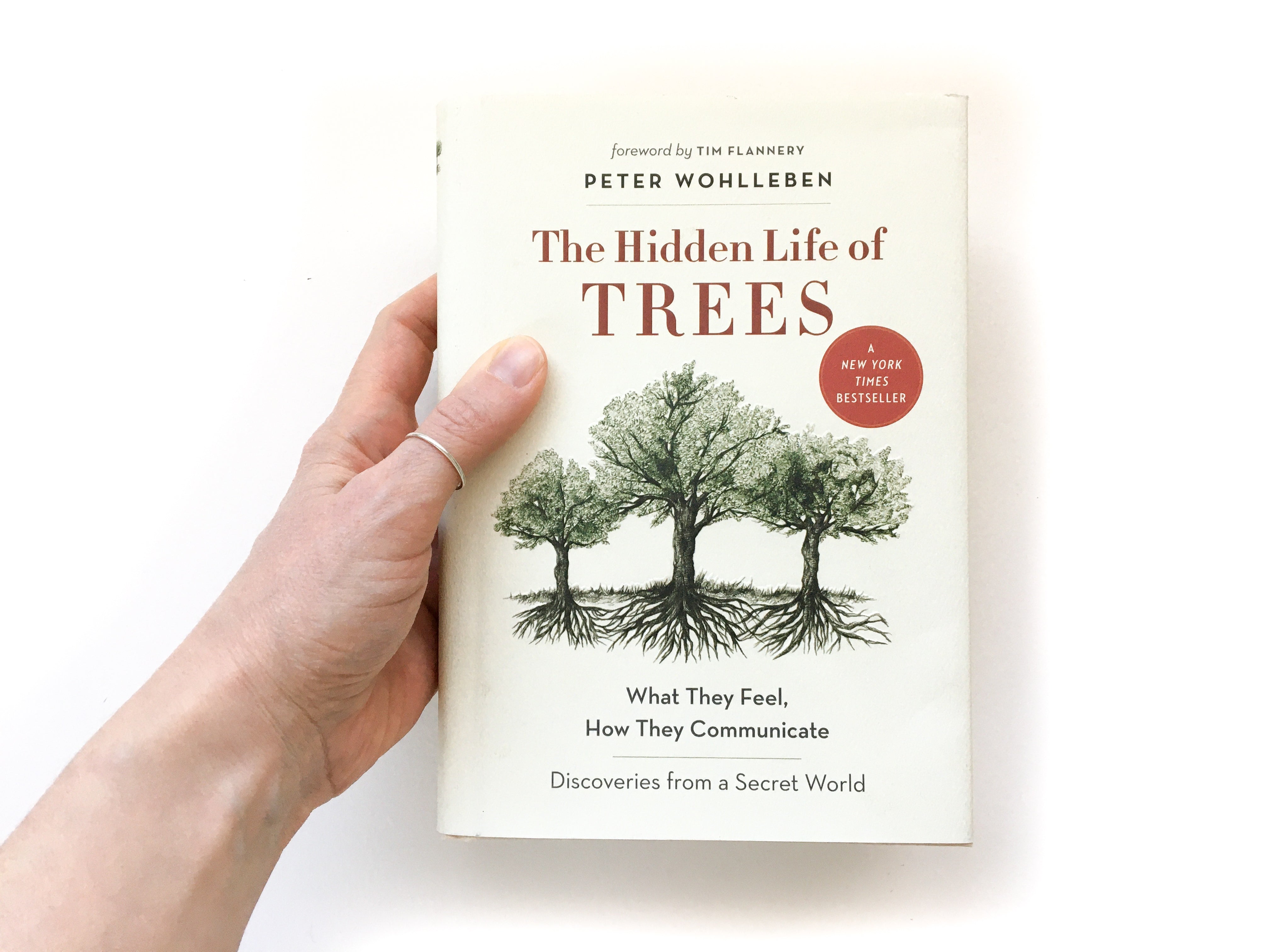 The Hidden Life Of Trees By Peter Wohlleben Greenleaf And Blueberry