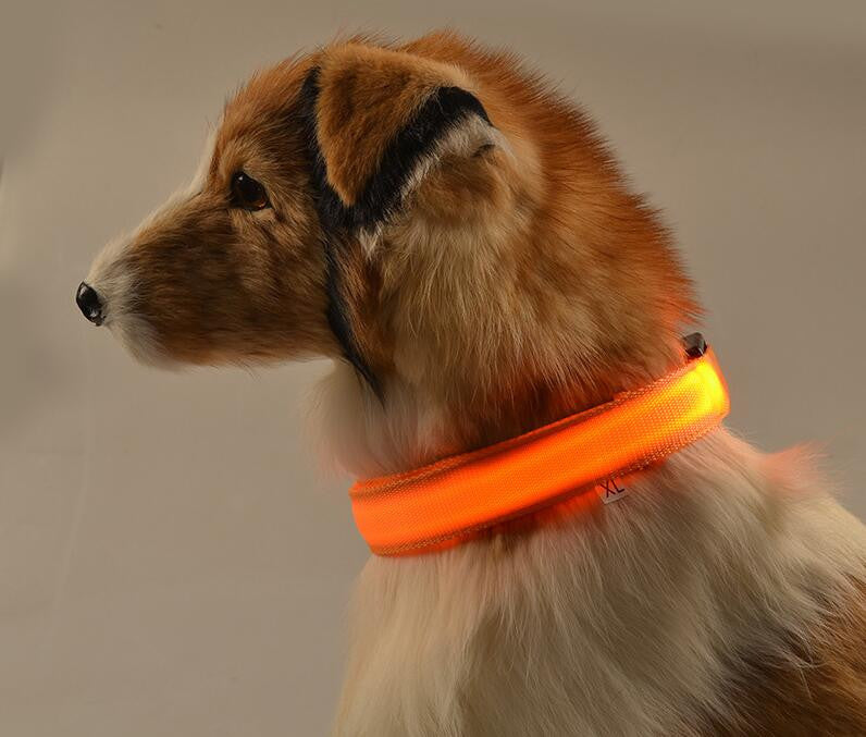 Nylon-LED-Pet-Dog-Collar-Night-Safety-Flashing-Glow-In-The-Dark-Dog-Leash-Dogs-Luminous_3272087262911_1024x1024.jpg