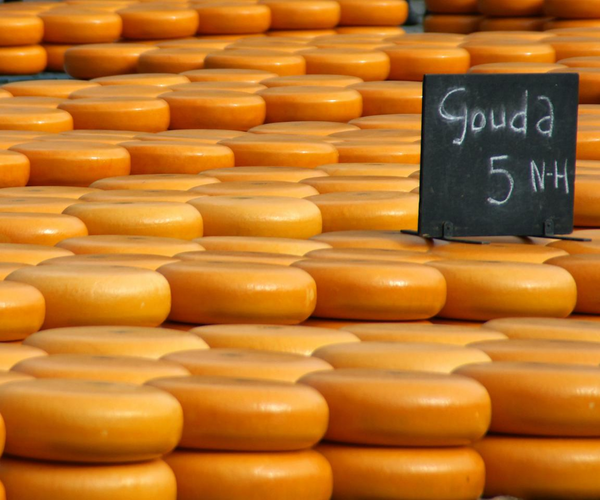 gouda_cheese_dipped_in_wax