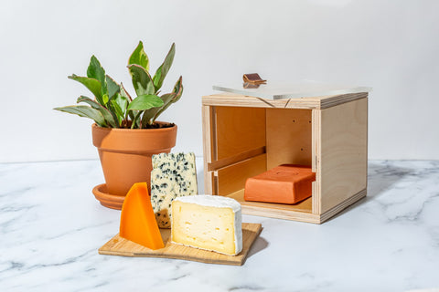 small cheese storage box open with shelf removed. shelf has orange, blue, and white cheese with potted plant in background on marble surface
