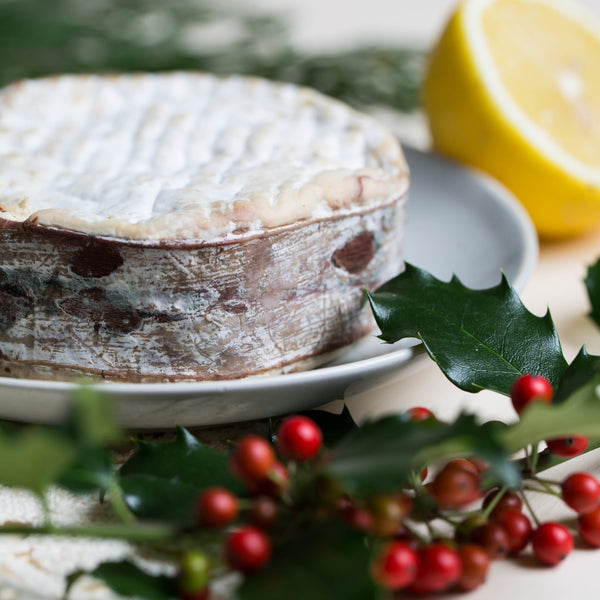 spruce bark wrapped cheese for winter