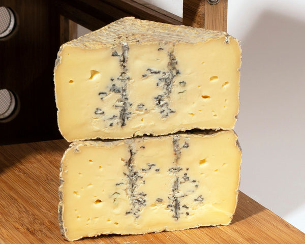 chicory blue cheese from tulip tree creamery