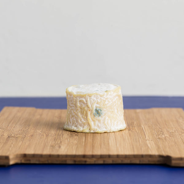 what is aged goat cheese