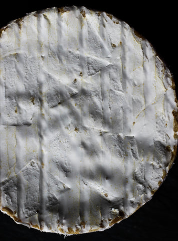 Herve Mons Camembert Cheese