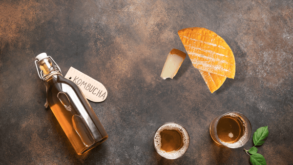 kombucha and cheese pairing guide