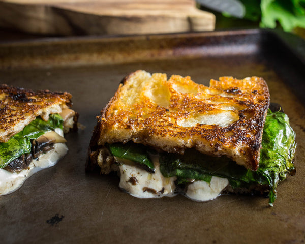 Sourdough grilled cheese with mozzarella, mushroom, and kale