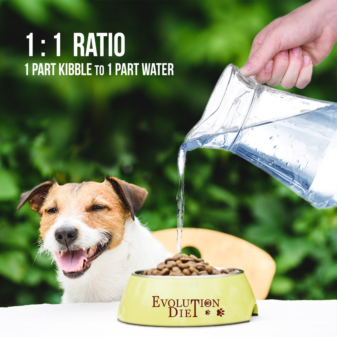 add water to vegan dog food for proper hydration