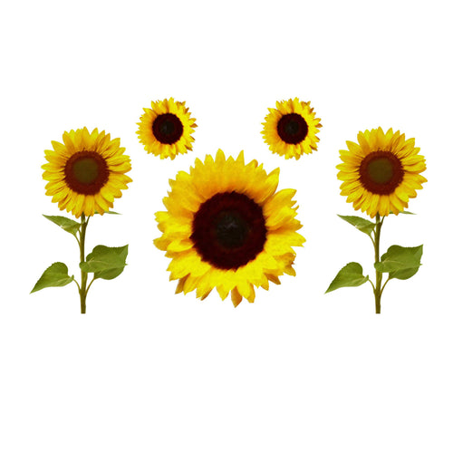 Free Free 98 Sunflower Waterslide Svg SVG PNG EPS DXF File
