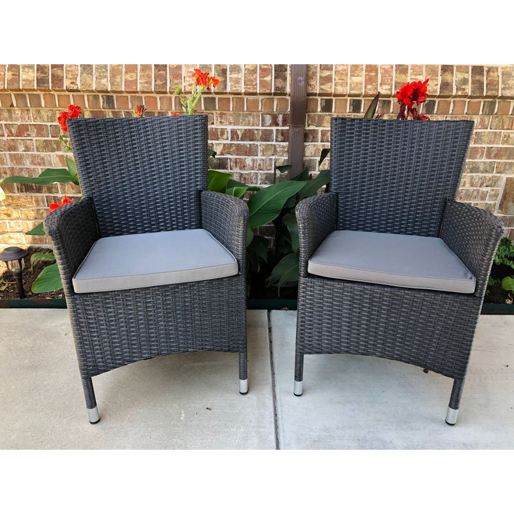  Bentana Resin Wicker/Steel Armchairs with Cushion (Set of 2)