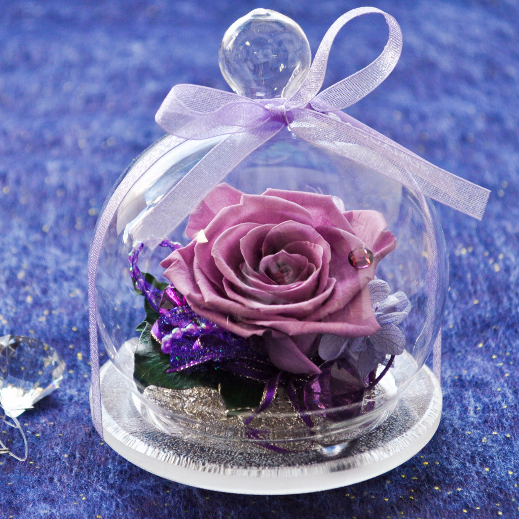 Rose Glass Dome - Lavender – Endura Flora