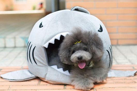 Shark Sleeping Bed Warm Bed For Dogs And Cats 2 Sizes Omg Adorables