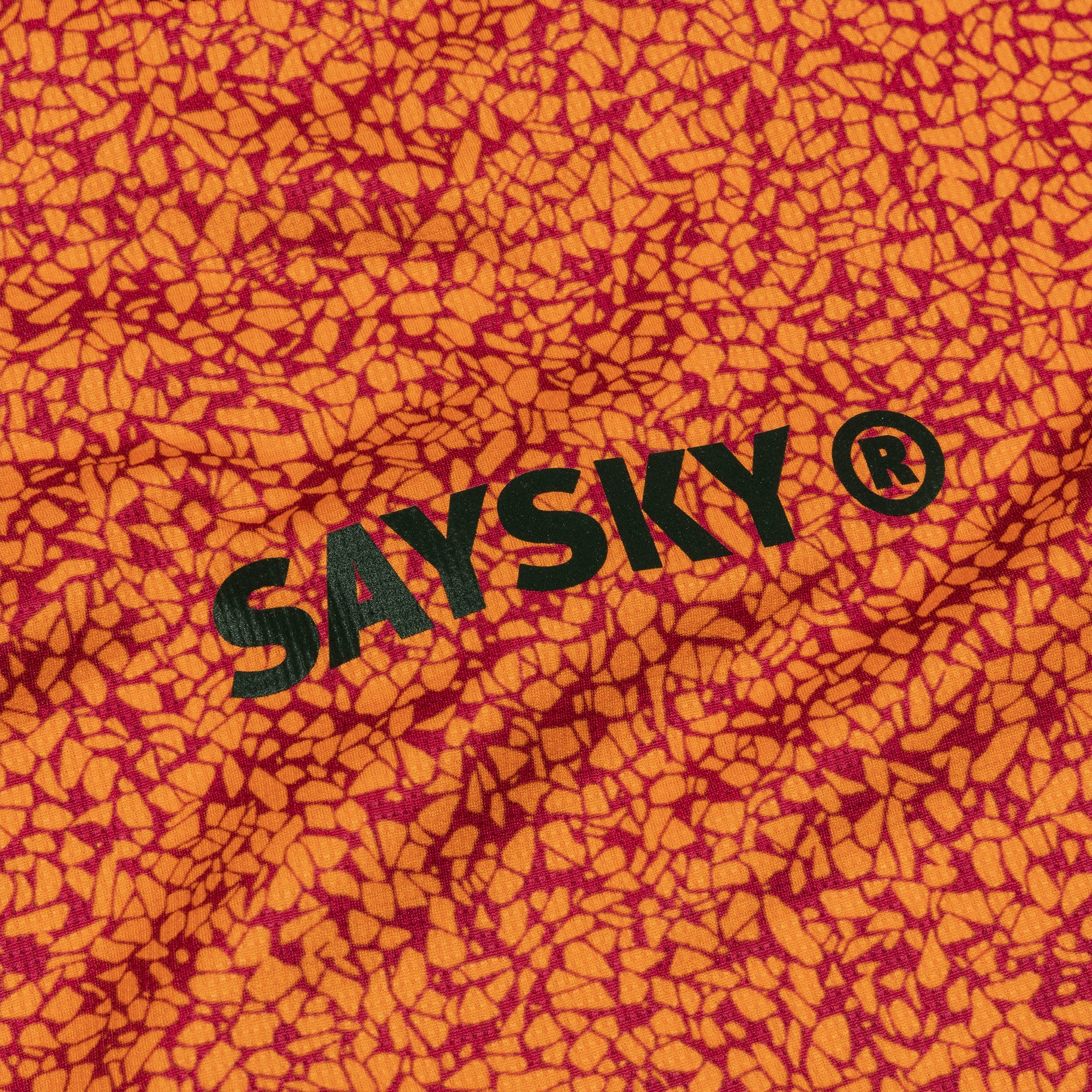 SAYSKY