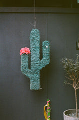 Hi Cacti fiesta cactus pinata brighton