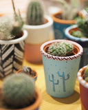 hi cacti workshops and classes brighton