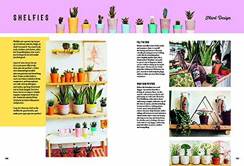 Hi Cacti: Growing Houseplants and Happiness Sabina Palermo indoor plant care tips brighton best houseplant book guide plant care is self care