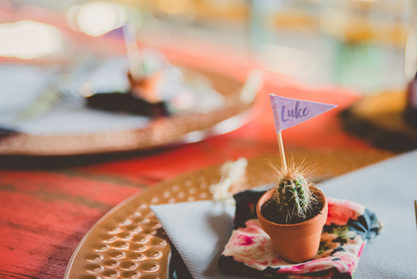 Hi Cacti cactus wedding favours